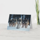 Search for wolf packs cards Nature