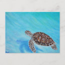 Search for turtle painting postcards Ocean