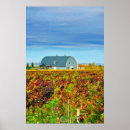 Search for agriculture posters Barn