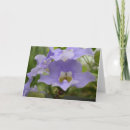Search for green earth cards Nature