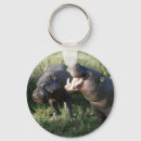 Search for hippopotamus key rings Hippos