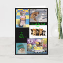 Search for cool cat cards Cats