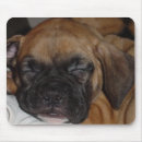 Search for boxer mousepads Computer