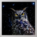 Search for wise old owl Halloween