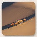 Search for caravan coasters Camel