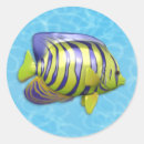 Search for angel fish stickers Tropical
