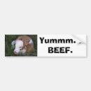 Search for beef bumper stickers Carnivore