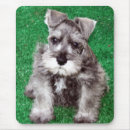 Search for miniature schnauzer mousepads Dog