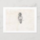 Search for special photo cards Picture