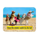 Search for beach party magnets Cute
