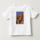 Search for mojave desert tshirts Joshua tree national park
