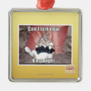 Search for talking christmas tree decorations I can has cheezburger