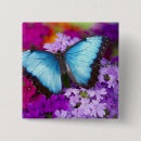 Search for tropical butterfly badges Blue