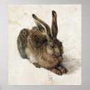 Search for durer posters Rabbit