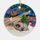 Search for pekingese christmas tree decorations Pets