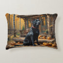 Search for black lab cushions Animals