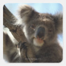 Search for australia day stickers Wildlife