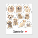 Search for cute golden retriever stickers Adorable