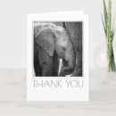 Search for elephant calf cards Wildlife