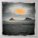 Search for stone island art Ocean