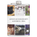 Search for memory barware Cat