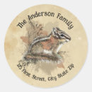 Search for cute chipmunk stickers Nature