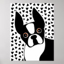 Search for boston terrier posters Cute