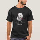 Search for bedlingtons Dogs