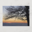 Search for closed postcards Nature