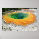 Search for morning glory posters Landscapes
