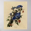 Search for john jay posters Illustration