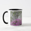 Search for magnolia tree mugs Azalea