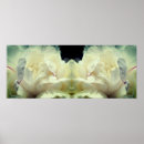Search for peonies posters White