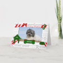 Search for woof christmas cards From the dog