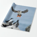 Search for puffin wrapping paper Orange