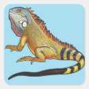 Search for green iguana stickers Reptile