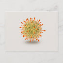 Search for simplex Herpes simplex virus