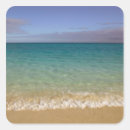 Search for turks caicos stickers Shore