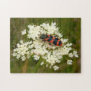 Search for beetle puzzles Garden