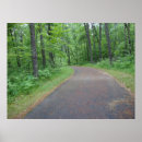Search for path art Forest