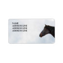 Search for equine return address labels Pony