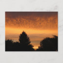 Search for beautiful morning postcards Photography