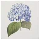 Search for hydrangea fabric Chic