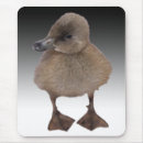 Search for ducky mousepads Cute
