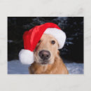 Search for puppy christmas cards Winter