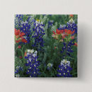 Search for bluebonnet badges Colourful