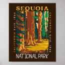Search for simple style posters Cool beautiful forest landscape