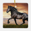 Search for ceramic horse christmas tree decorations Animal
