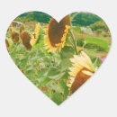 Search for sunflower fields stickers Botanical