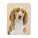 Search for spaniel magnets Springer